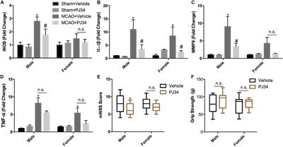 Delayed PARP-1 Inhibition Alleviates Post-stroke Inflammation in Male Versus Female Mice: Differences and Similarities